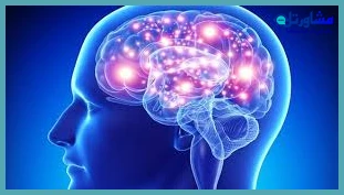 تقویت مغز و اعصاب از چه روش‌هایی ممکن است؟